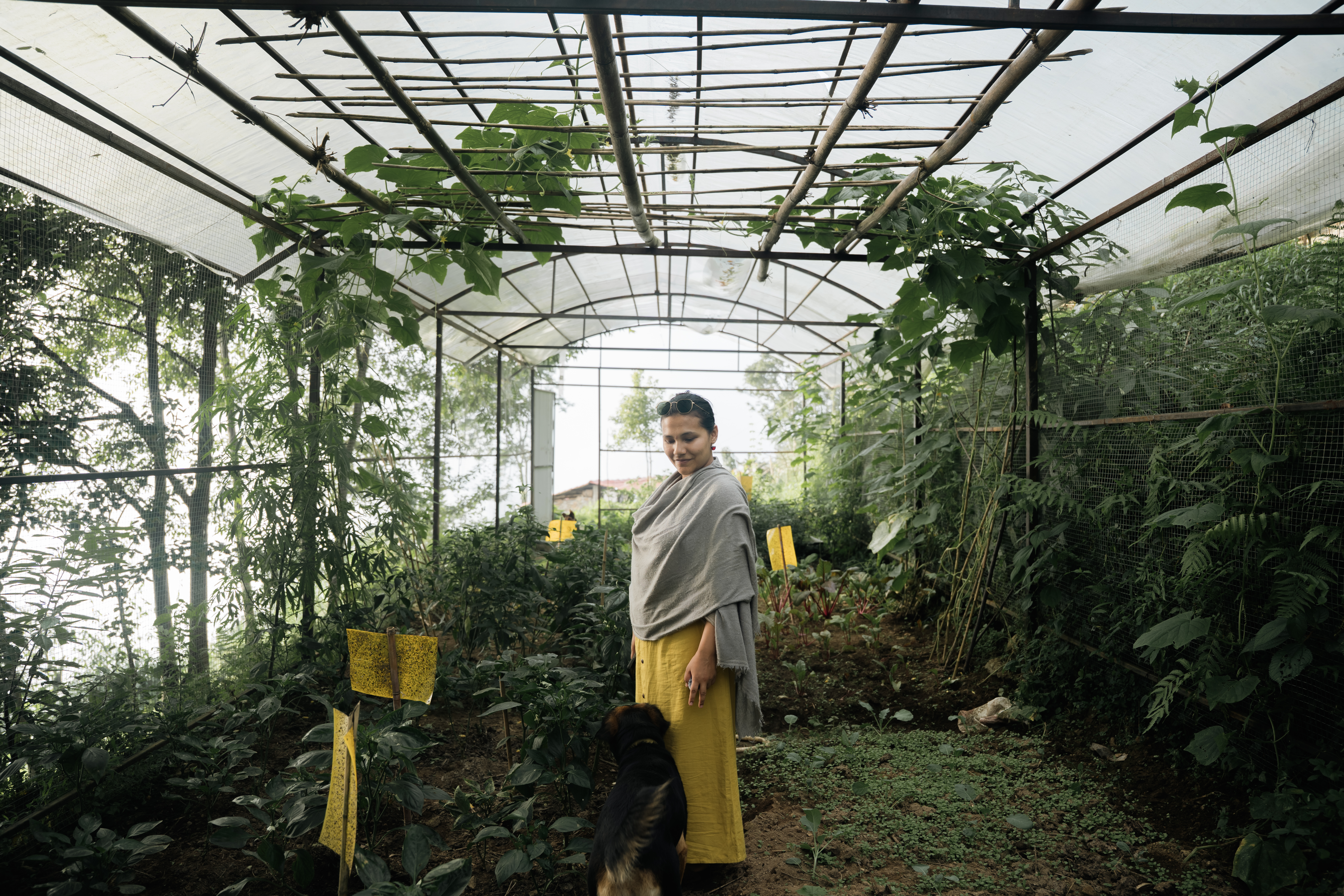 Farm and garden at Divine Door — grown here, prepared here