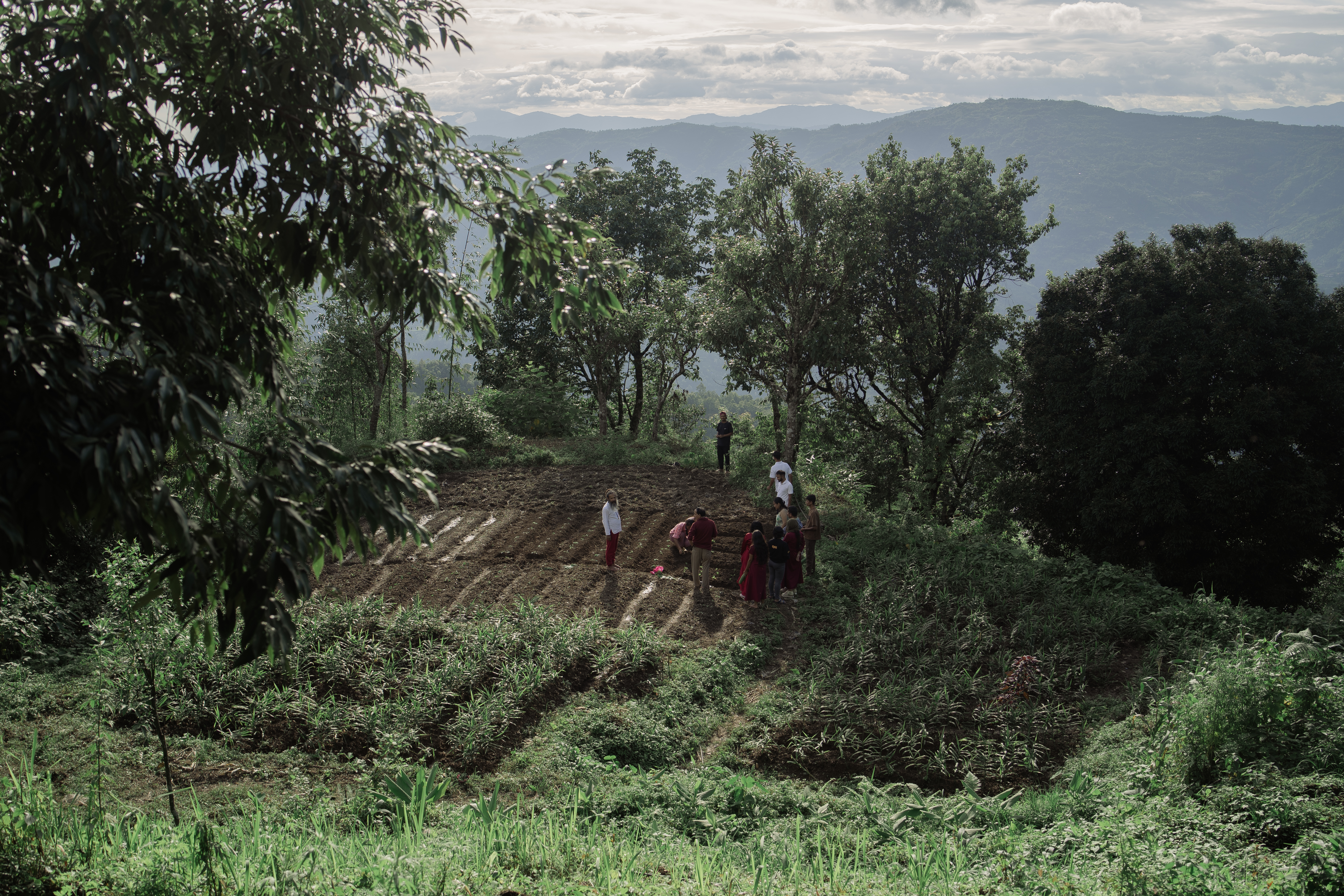 Food at Divine Door — fresh, nourishing, prepared with care