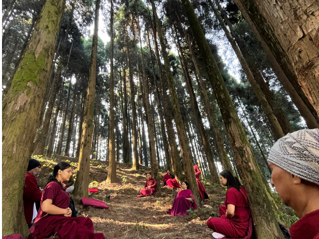 Neo Vipassana Retreat — April 2026, Divine Door