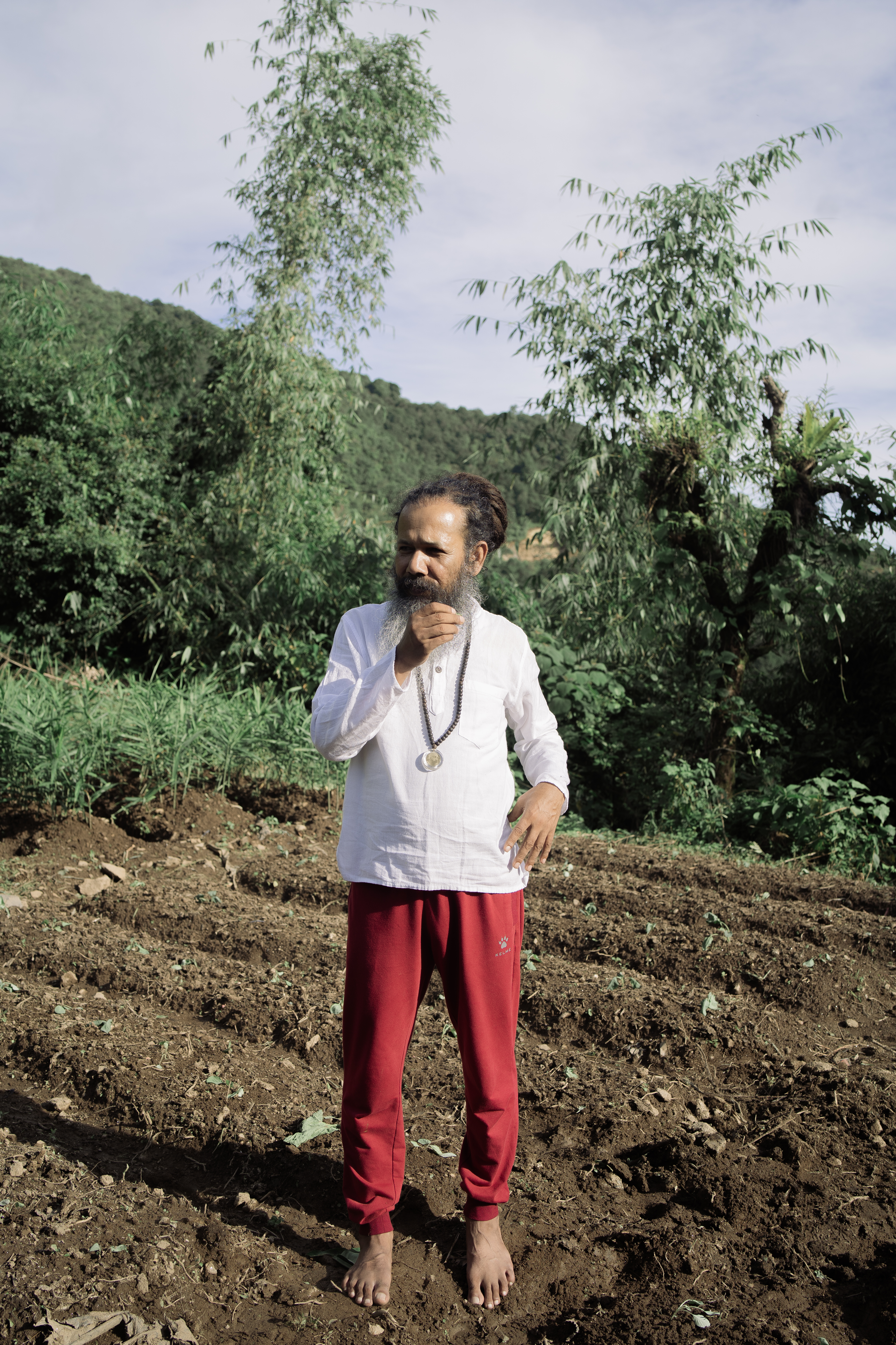 How Divine Door grew