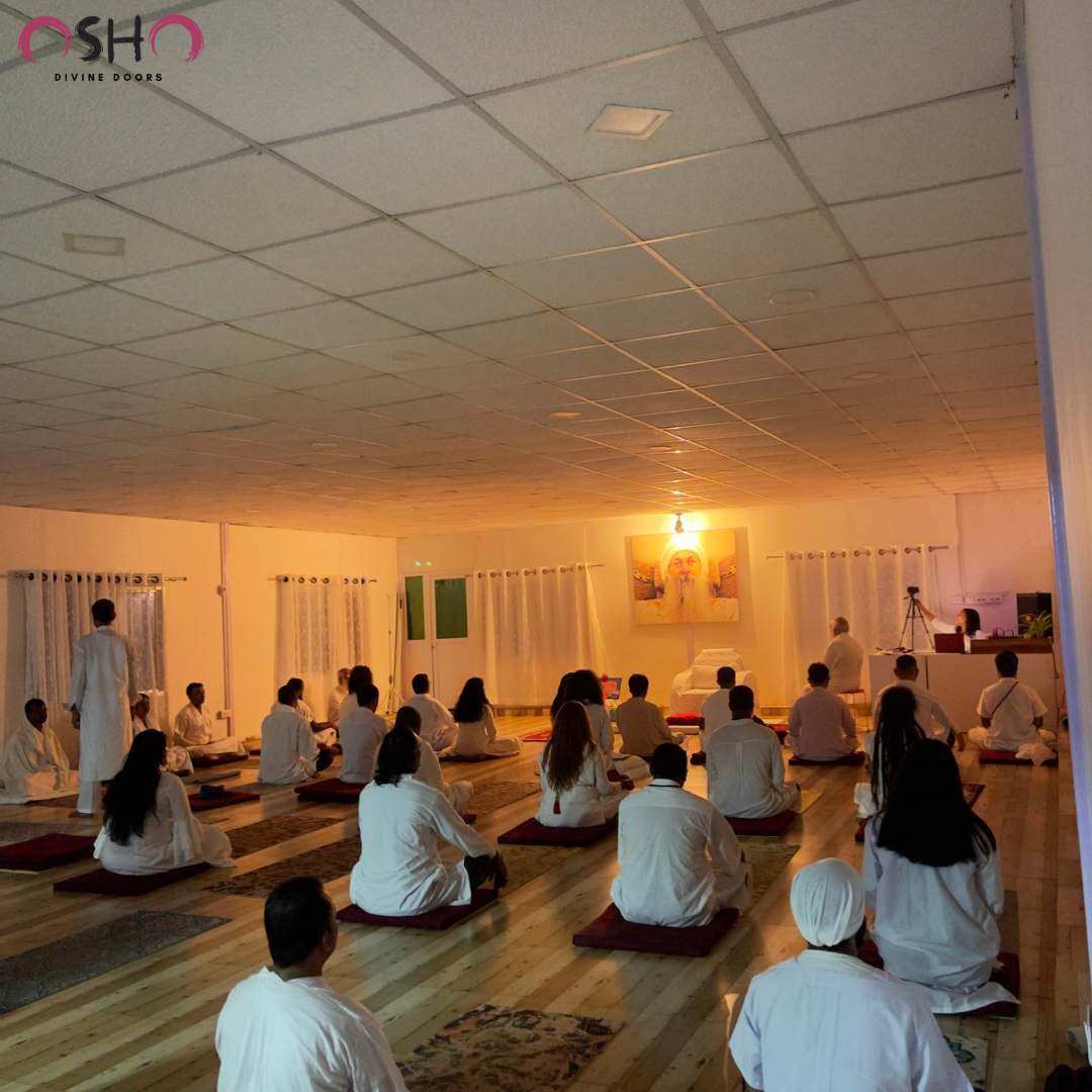 The container — Neo Vipassana at Divine Door